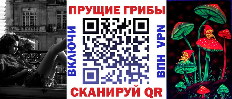 дарнет шоп Кодинск МЕГА маркетплейс Галлюциногенные грибы Magic Shrooms